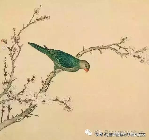 清宫鸟谱,清宫秘传鸟谱大全