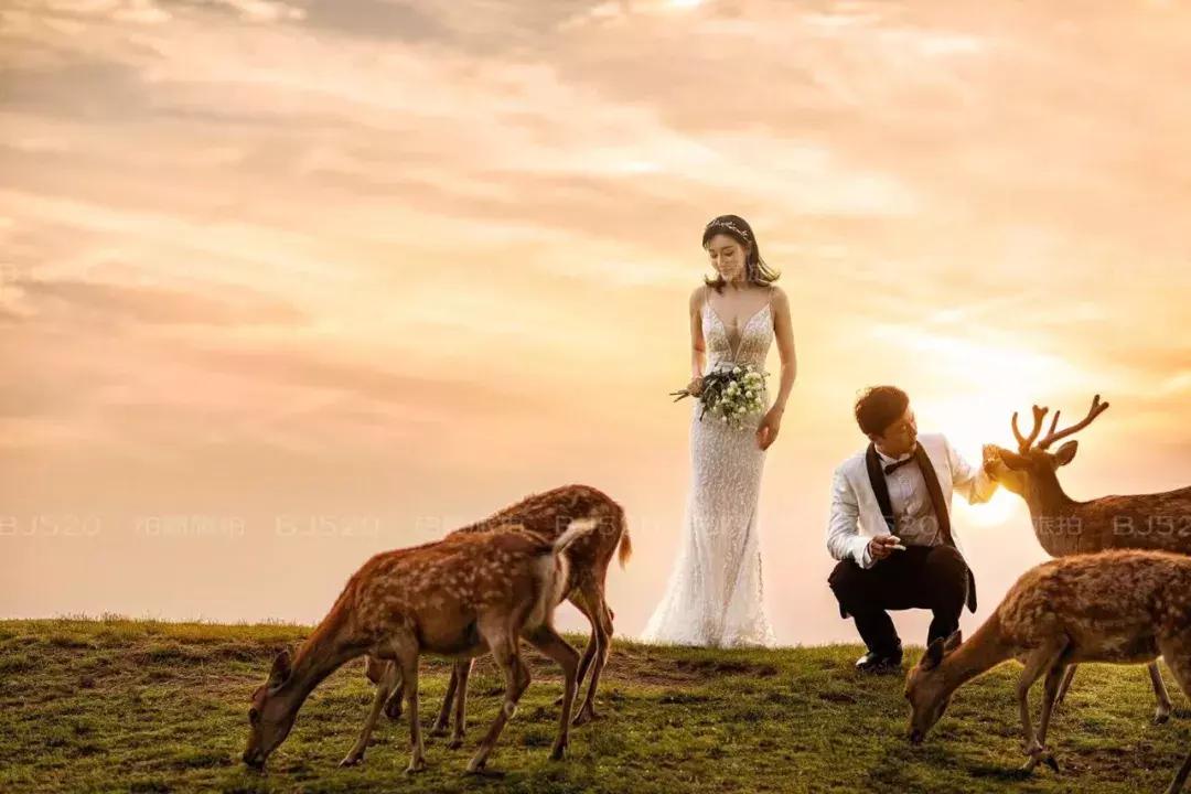 5套婚纱衣服怎么安排合适,婚纱照礼服男士5套是什么