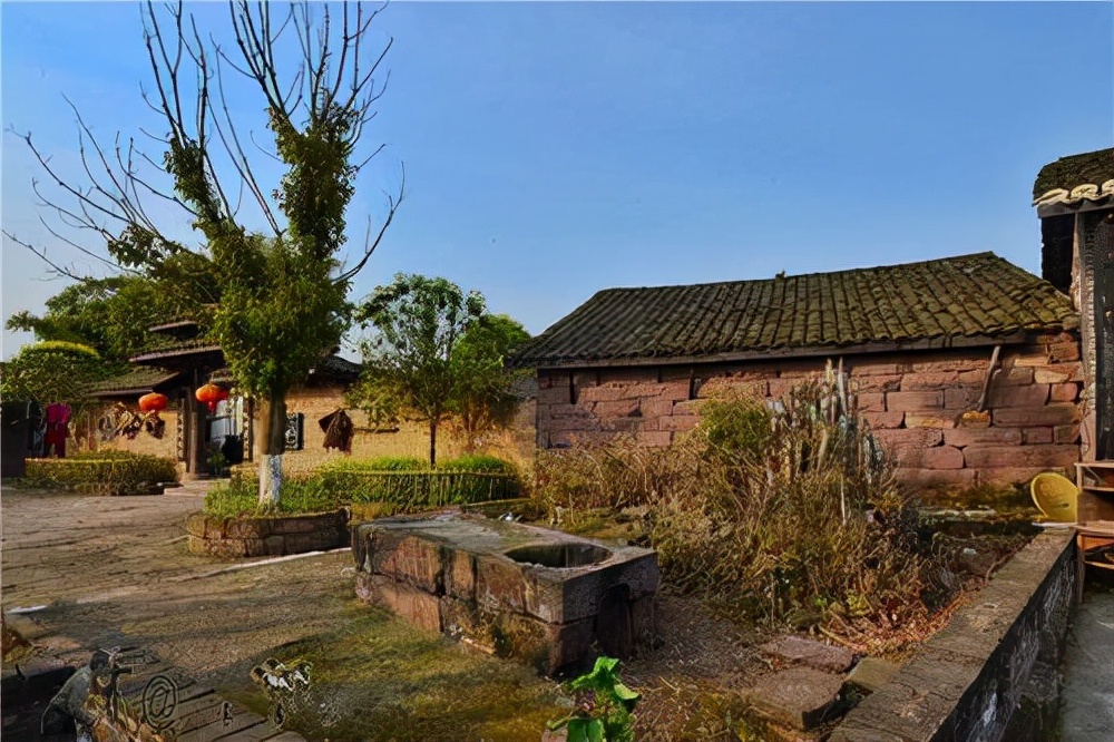 荐读许三观卖血记,许三观卖血记文摘