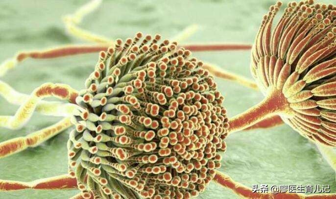 黄曲霉素中毒一般会死人吗,黄曲霉毒素产生的条件