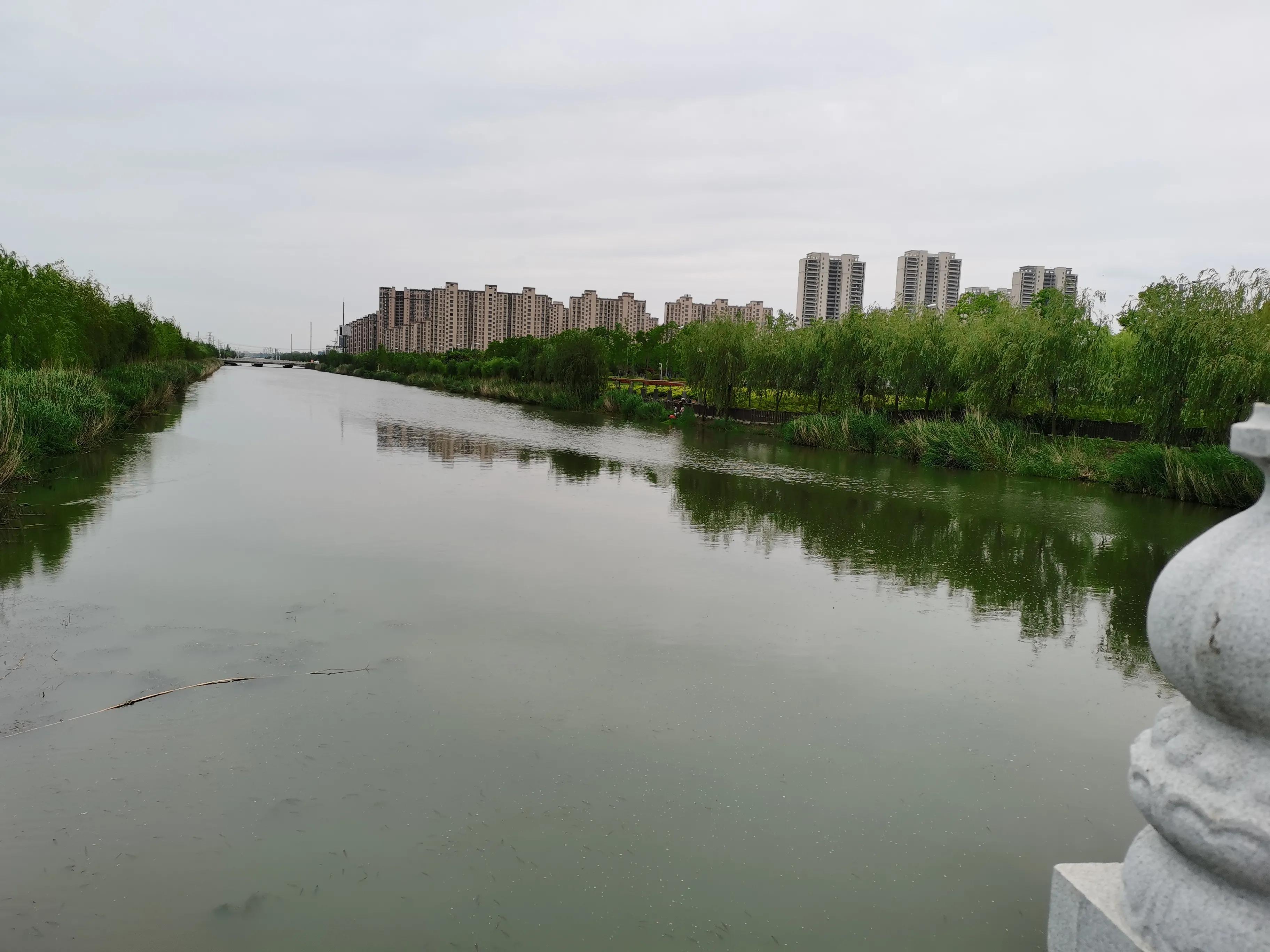 矶竿越硬抛得越远吗,矶竿为啥搅不动