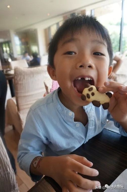 去香港亲子旅行攻略路线图片,香港亲子游最佳路线图