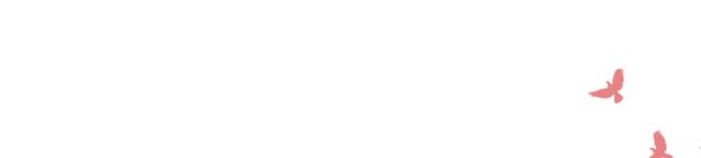 回眸金交见证成长——南粤基金打造新兴产业高质量发展新引擎