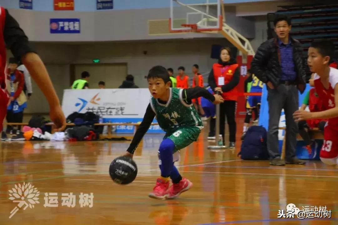 中国篮球名宿走进学校,中国篮球名宿26分