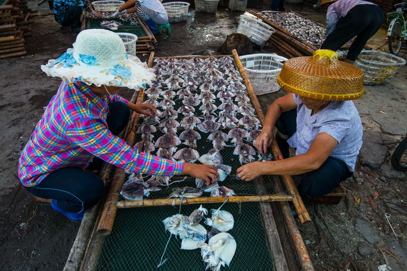 暴利养殖业50元一斤,什么养殖一斤100元都还不愁销路