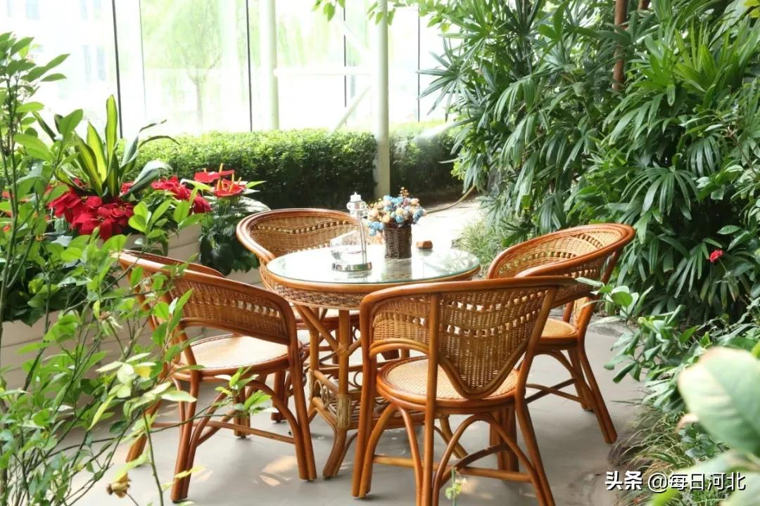 一个温暖又有趣的酒店,选择一个舒适温暖的酒店