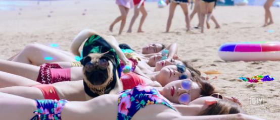 新媒体影视,新娱乐媒体