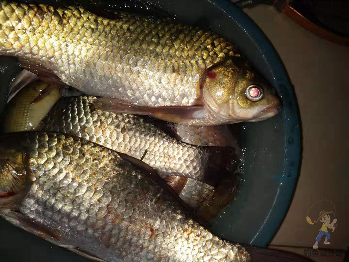 钩距多少为最合适,钩距多少比较合适