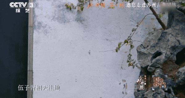 国家宝藏张国立故宫博物院,国家宝藏第三季张国立解说词