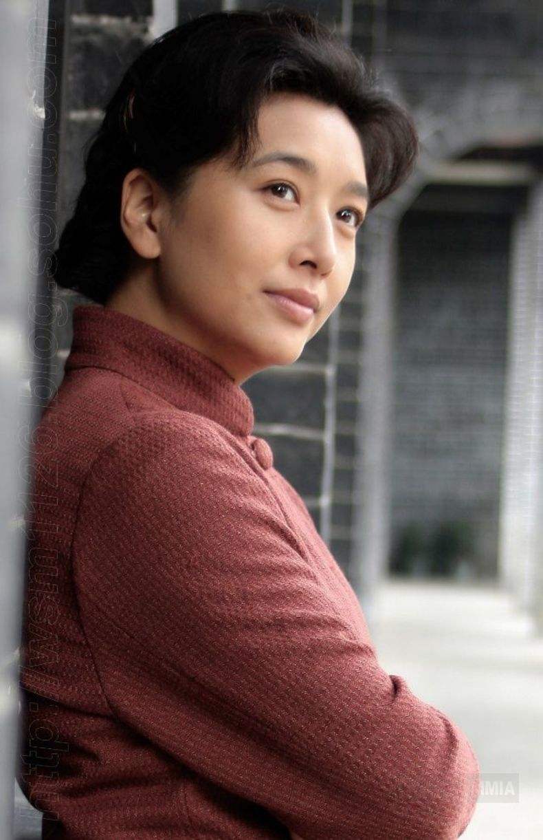 靳东和江珊真的同居过5年吗,靳东与离过婚的江珊