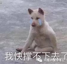 一天就吃一顿饭一个月能瘦多少斤,一个月少吃饭瘦20斤正常吗