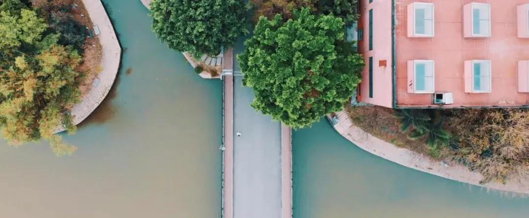 九大美院校园风景,中国九大美院校园风采