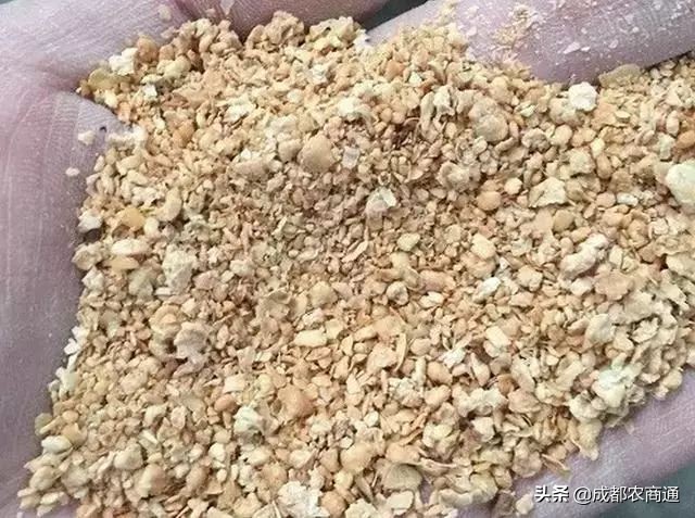 土鸡养殖技术哪里学,土鸡技术知识大全