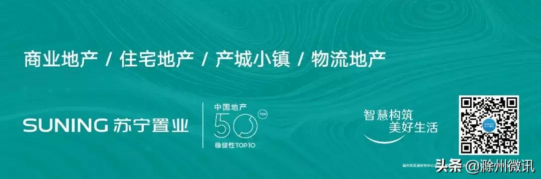 苏宁置业地产排名,苏宁几次登顶中国500强之首