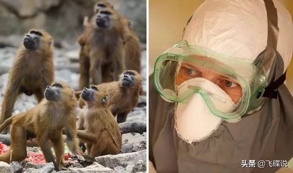 疫情下彻底看清了人性,疫情下摆正心态