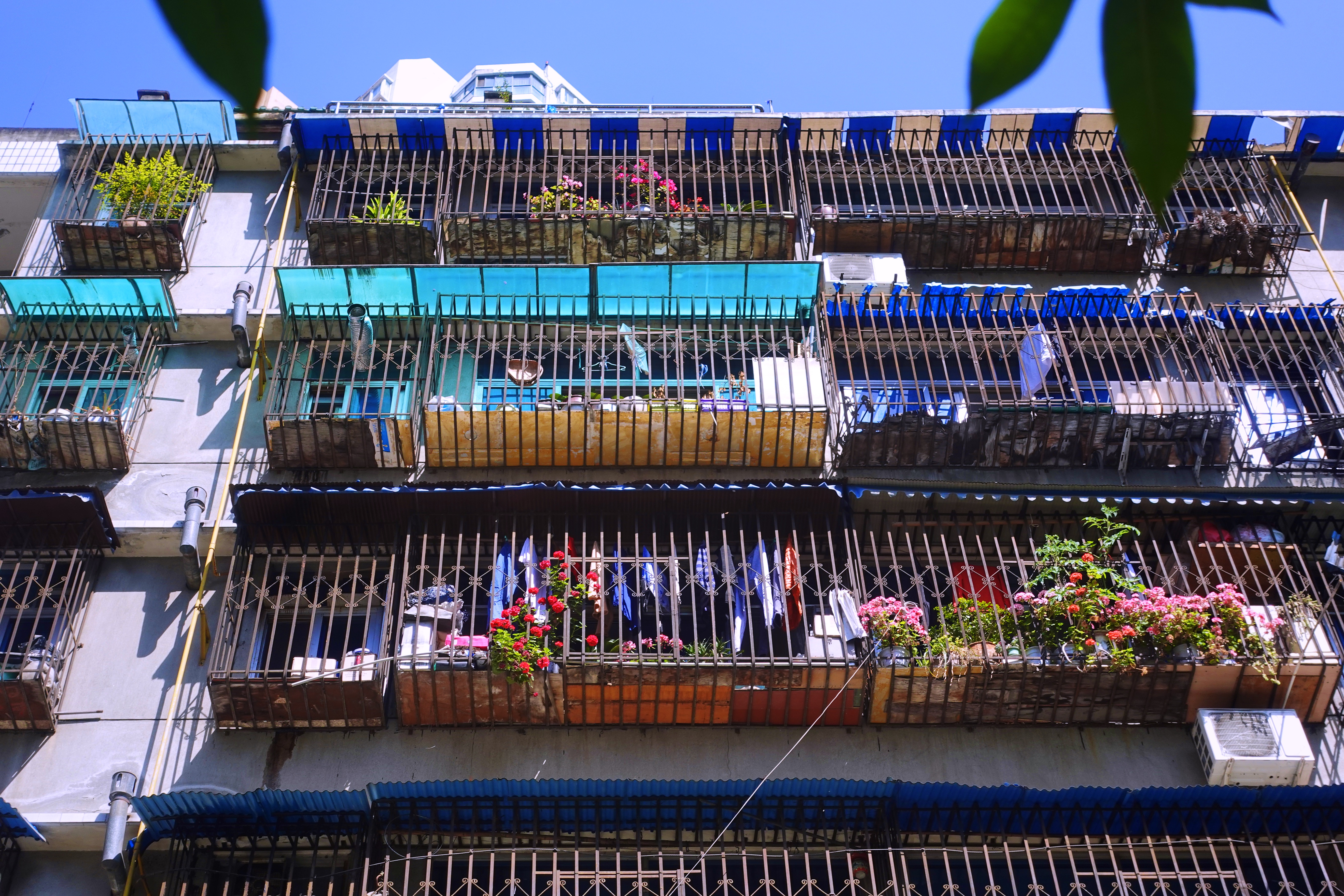 2021幸福感城市成都,2021最具幸福感城市成都