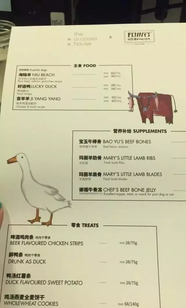 全国首家七星宠物度假酒店,最豪华的宠物酒店