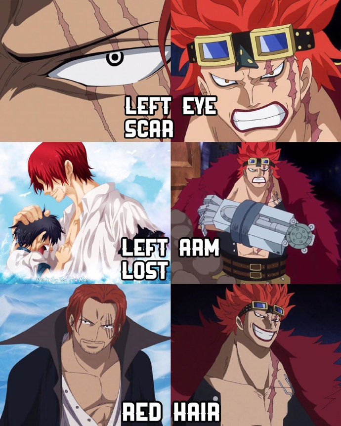 海贼王最深度的事件,海贼王基德巅峰集锦