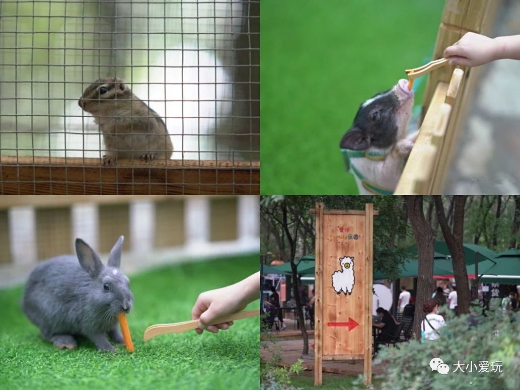 盘点北京适合遛娃的六个地方,周末免费遛娃好去处北京