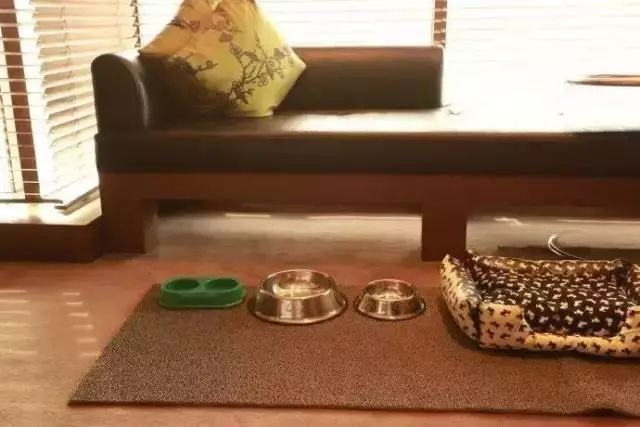 全国首家七星宠物度假酒店,最豪华的宠物酒店