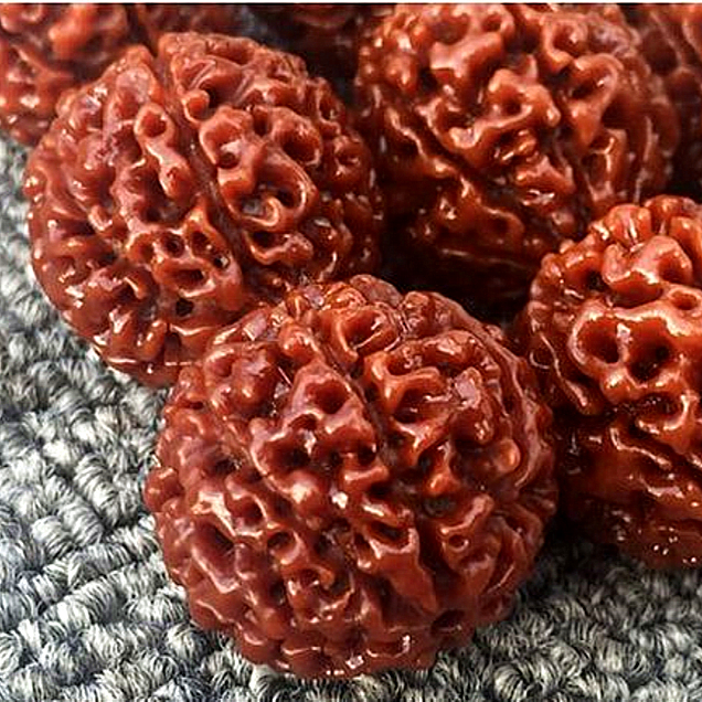 花了一两千，盘了三四年，最后却只能扔进垃圾桶，网友：叫你不信