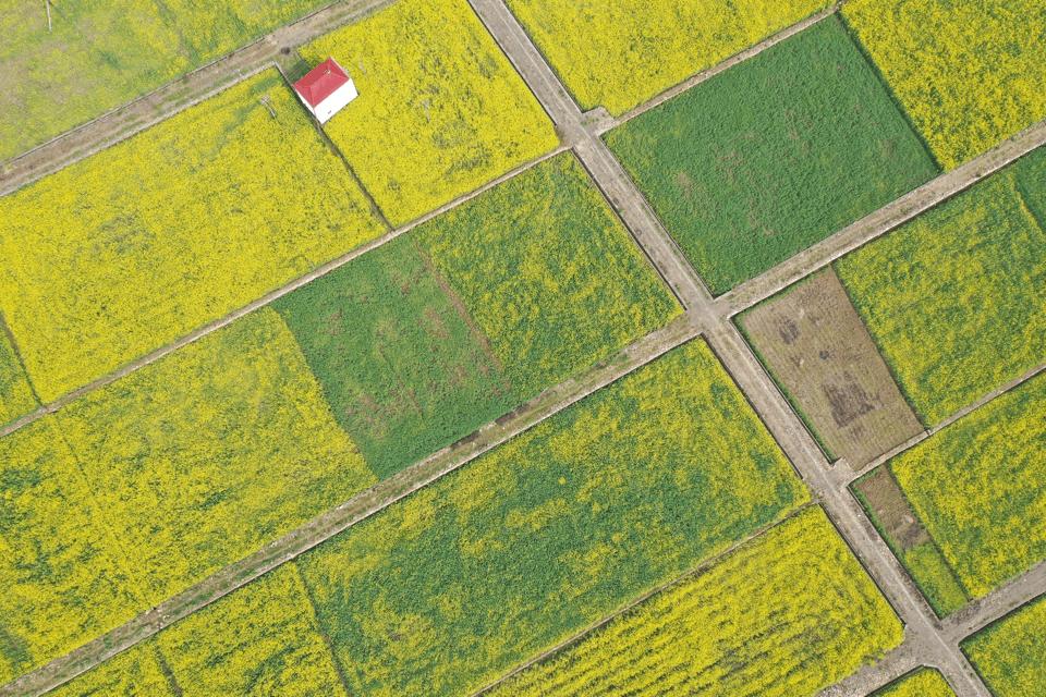 2021宜昌春季休闲农业精品线路公布！