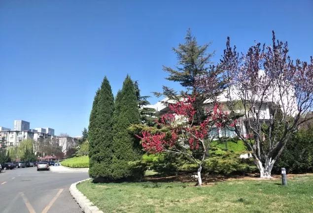 辽宁师范大学辽宁省一流课程,辽宁省普通高等院校