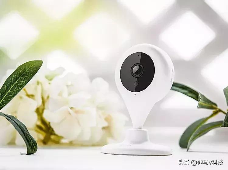 科技年的正确姿势！末班车了！快来看看你家还少啥？