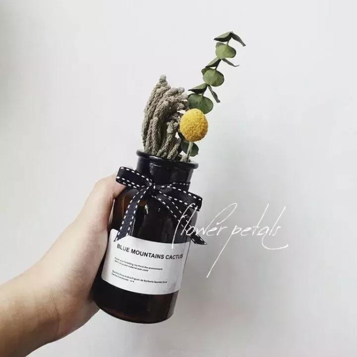 她用这种高颜值的干花装饰家里，隔壁邻居都惊叹不已