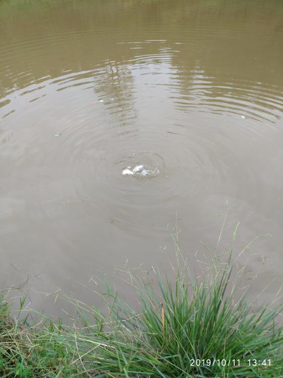 本汀宗师典藏版,本汀宗师完整视频