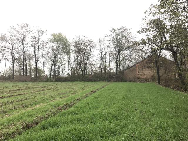 陕西15岁学生被6人围殴致死遭掩埋,陕西15岁少年遭围殴致死埋尸农田