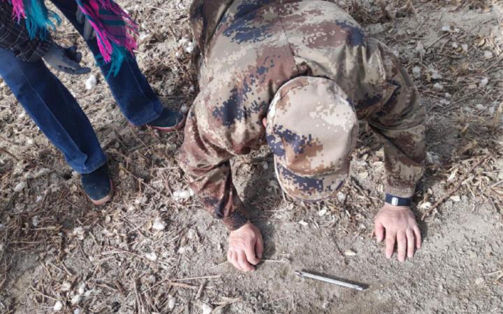 新疆棉花辟谣,辟谣新疆和田