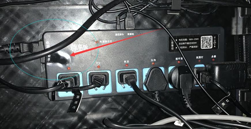 冬天养小热带鱼需要放加热棒吗,冬天热带鱼怎么养最省电