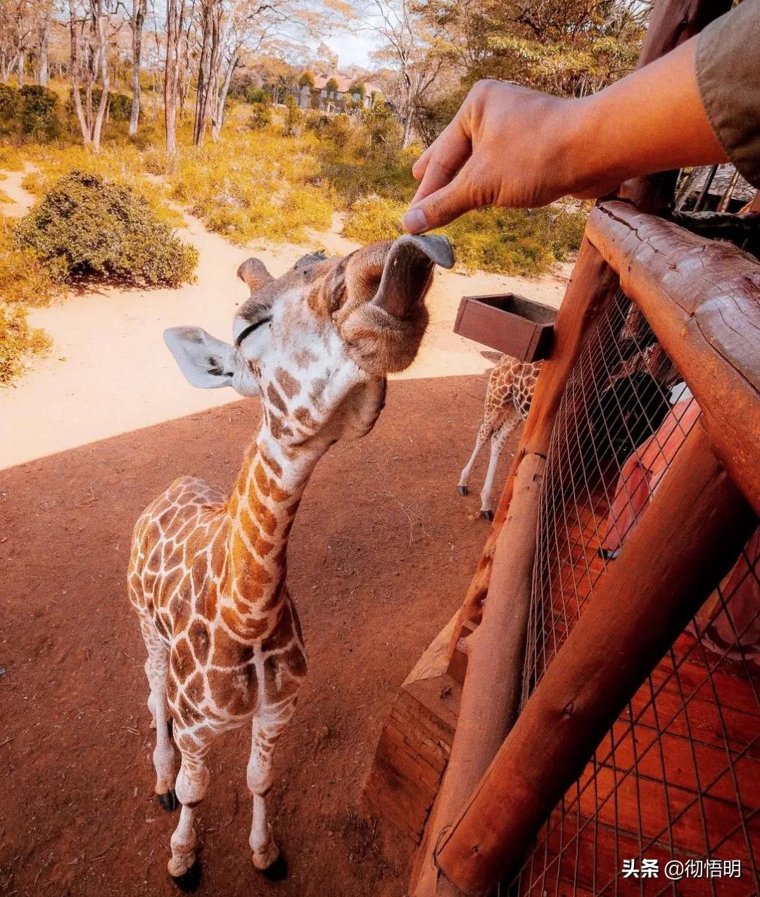 全世界最美50处旅游景点,全球公认世界最美的10个地方