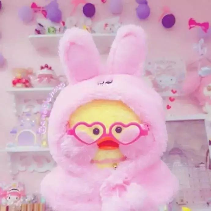 36张网红玻尿酸鸭头像图：遇见就好了，余生就算了