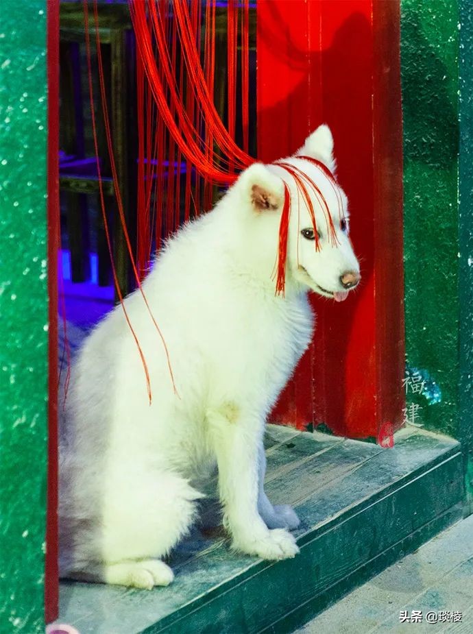 一个贫困渔村的华丽蜕变,一个小渔村成为国际大都市