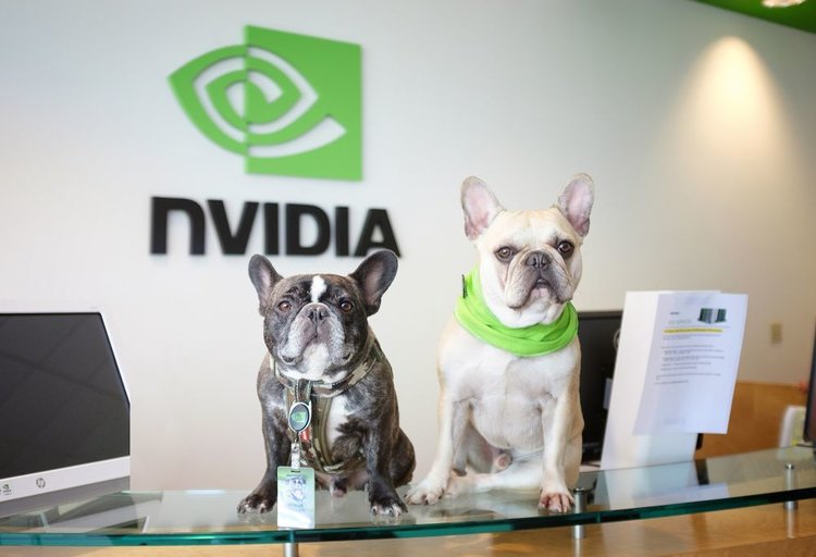 20家含金量最高的科技公司,国内最有前景的科技公司有哪些