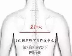 恶心干呕穴位按压法,常见疾病穴位搭配一览表