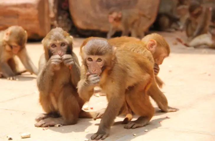 无法离昆,就地过年!昆明亲子游推荐路线重磅来袭!花样过牛年