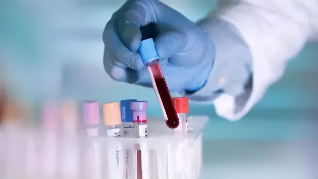 怎样才能提高卵子的质量和数量,如何短期内快速提高卵子质量