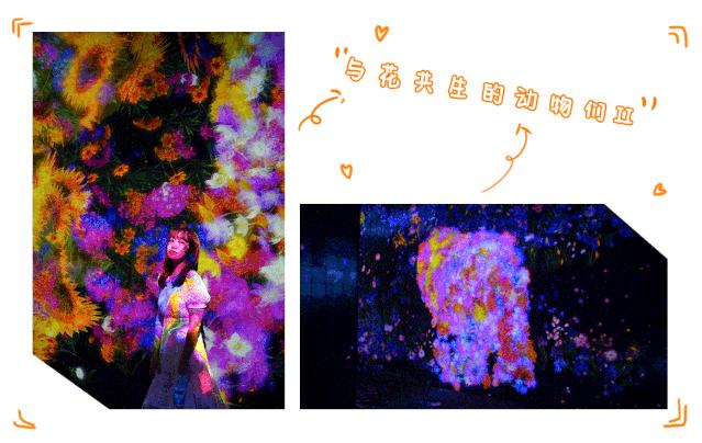 一起去澳门好吗,一起去澳门旅行