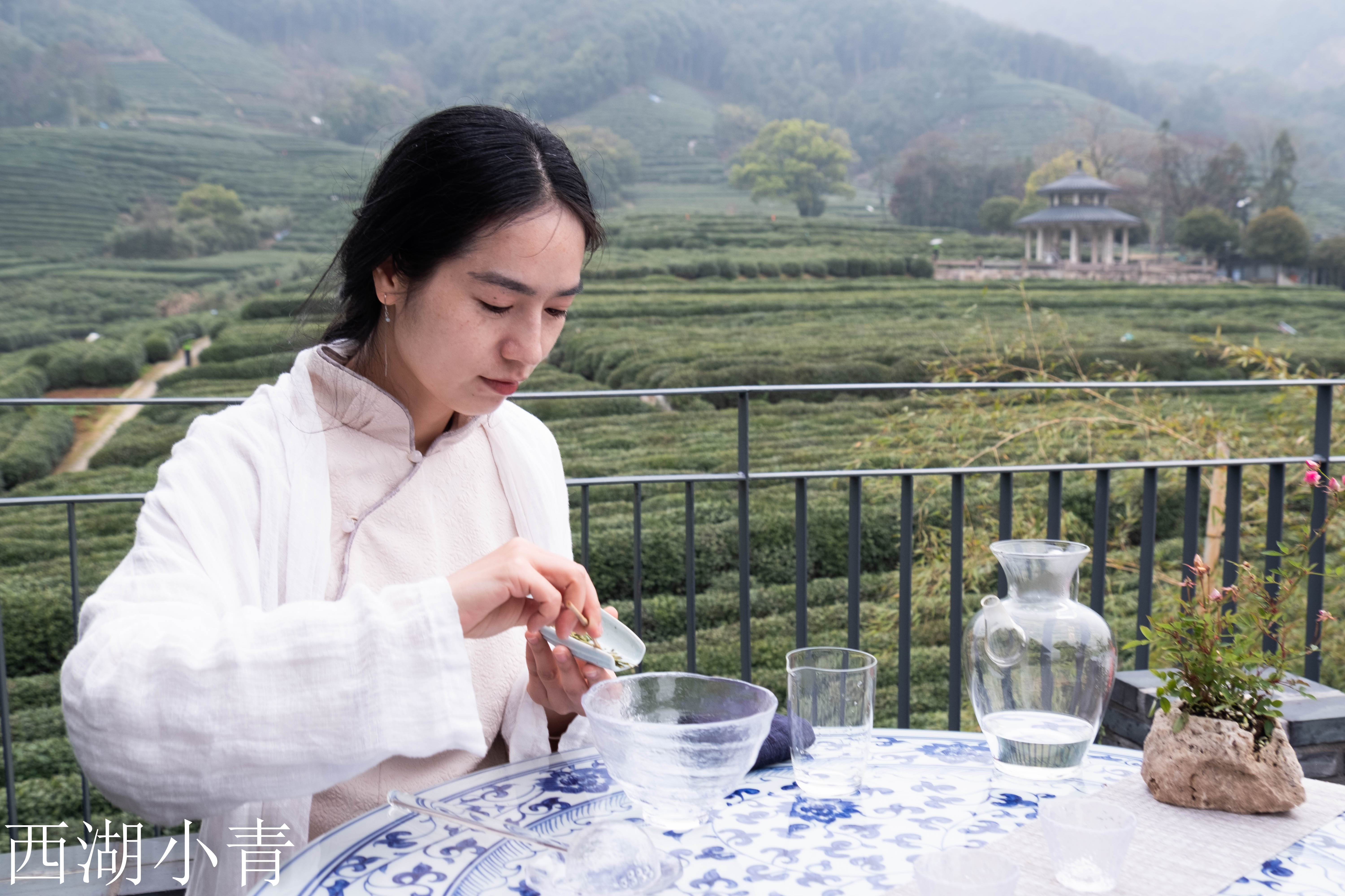 西湖龙井春茶季,龙井茶西湖明前春茶