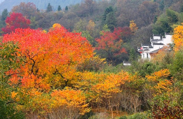 安徽中国最美三大古镇,安徽十大最美古镇