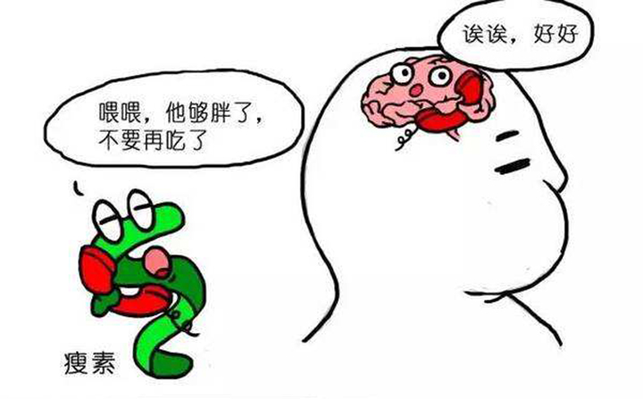 减肥成功不反弹多久变成易瘦体质,减肥坚持一段就成易瘦体质