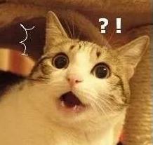 郭碧婷奚梦瑶最新消息,奚梦瑶和郭碧婷是什么关系