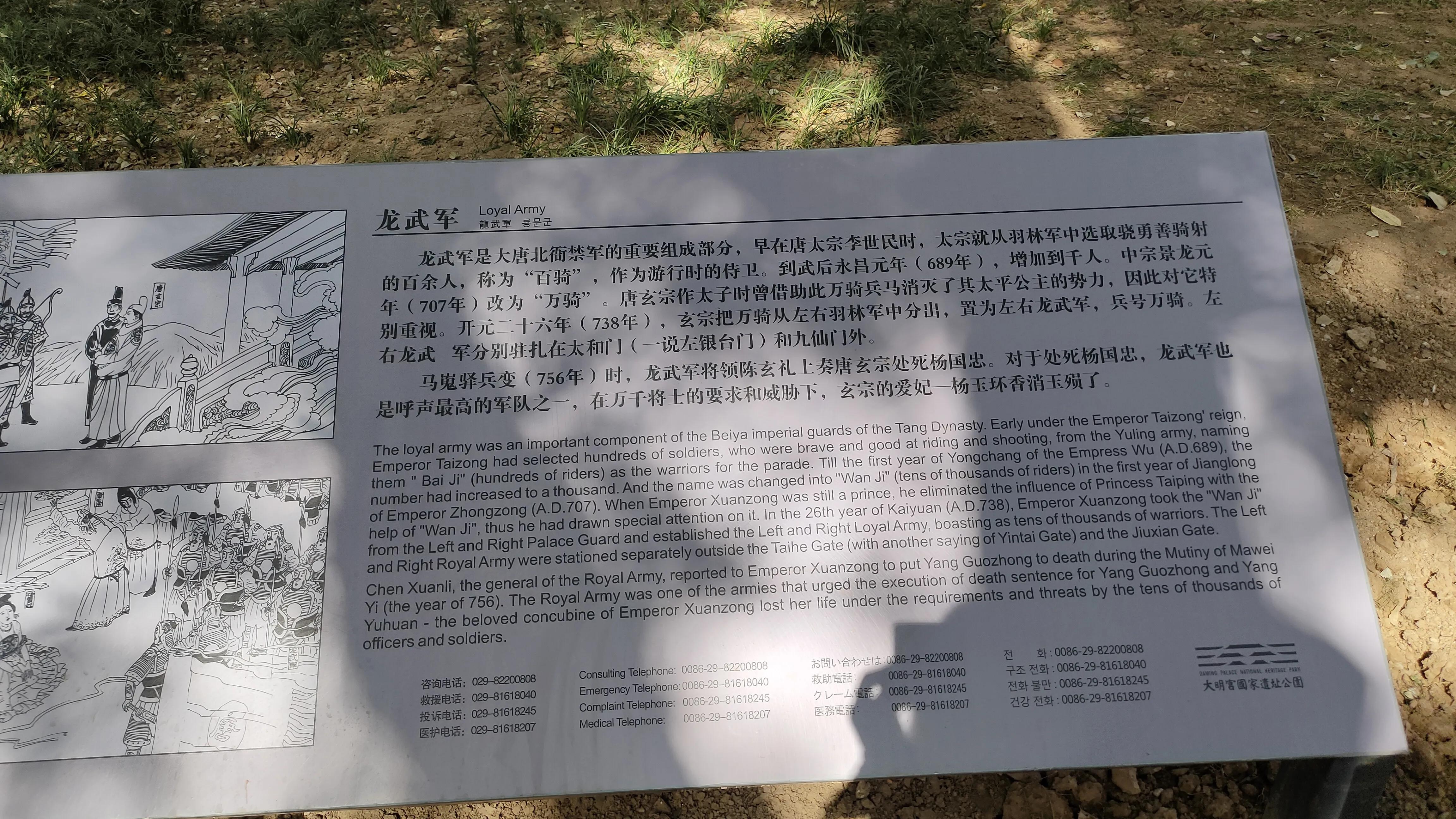 探寻西安大明宫国家遗址公园攻略,西安的大明宫遗址公园