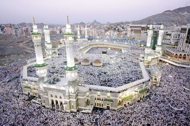 沙特超级大工程,中国沙特超级工程