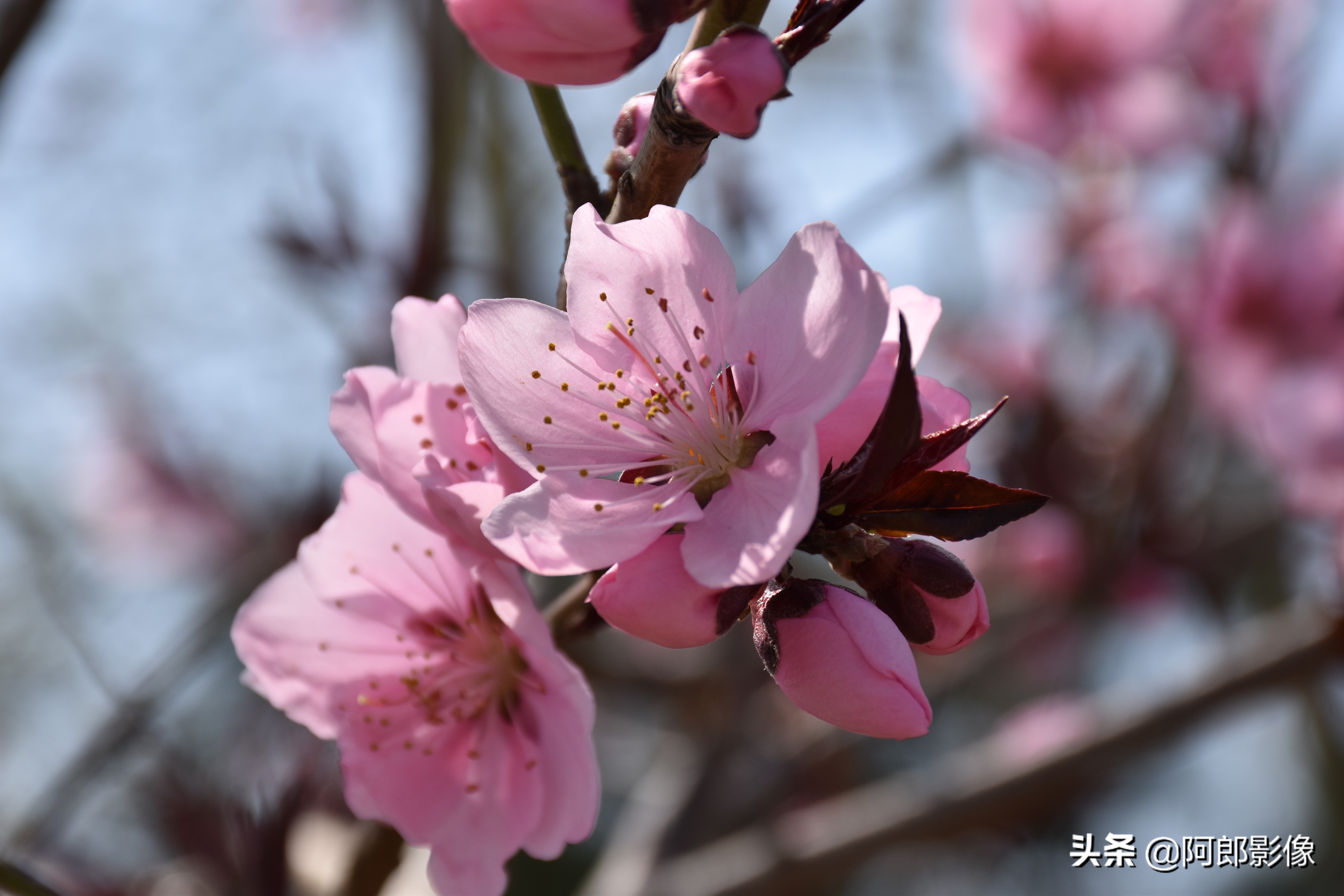 跟着阿东学摄影,跟着阿牛师傅学知识