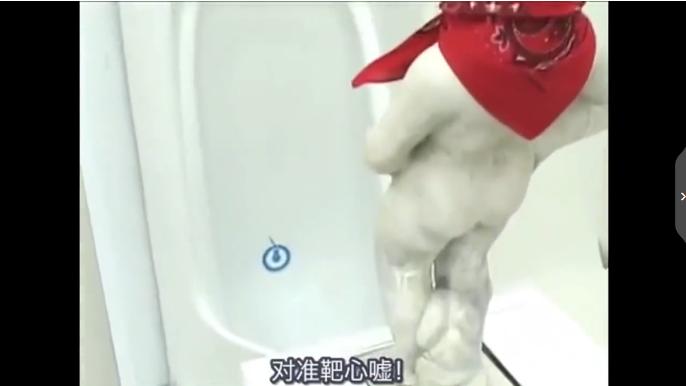 岛国的厕所有多奇葩?