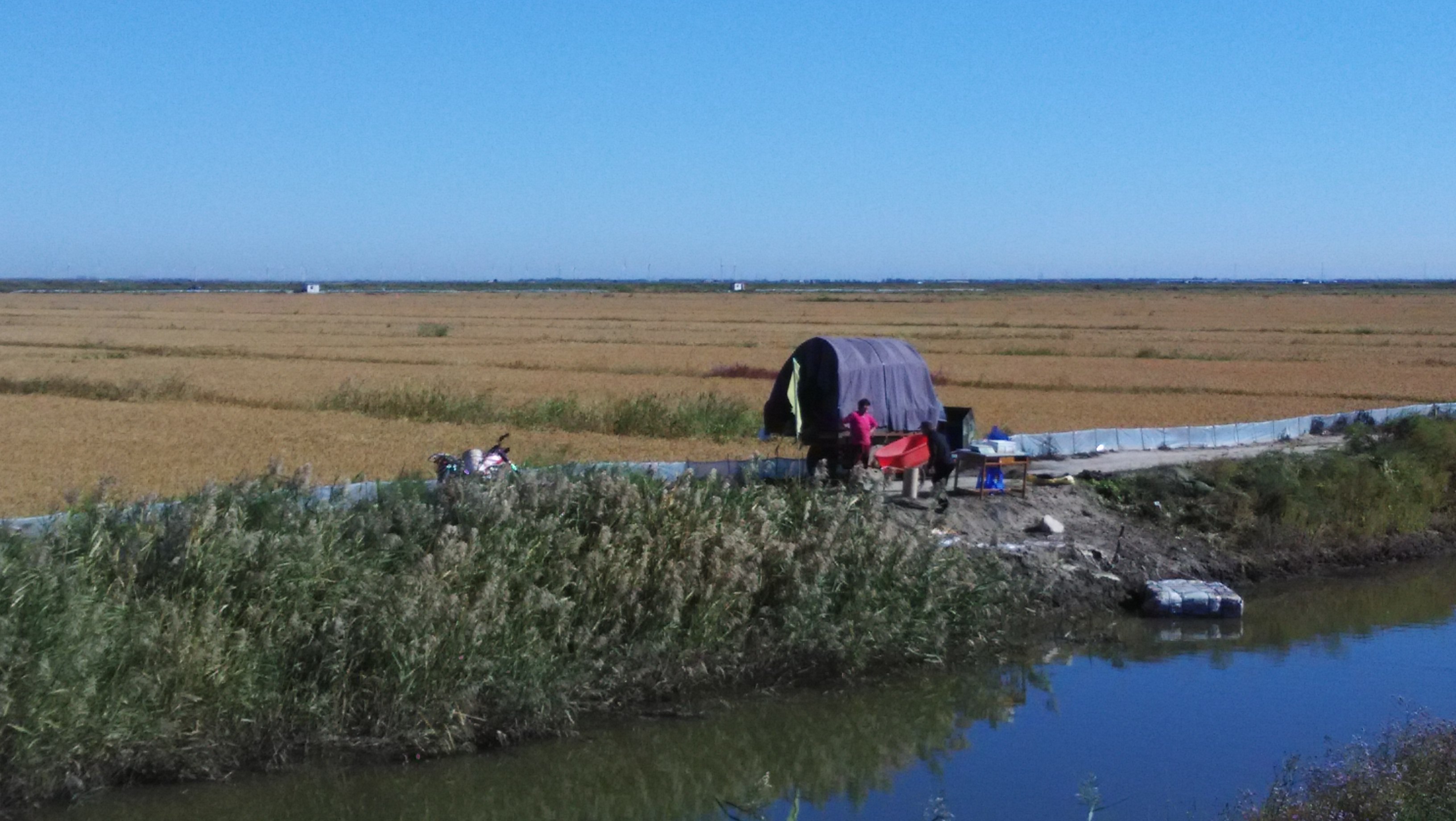 中国红海旅游攻略自由行,中国看大海去哪里旅游